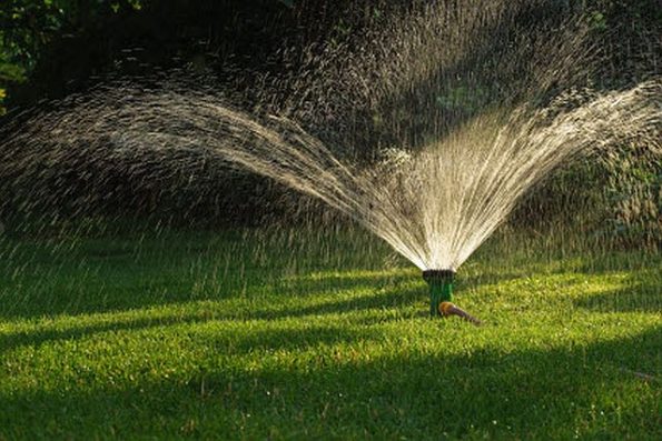 Konya Rainbird
