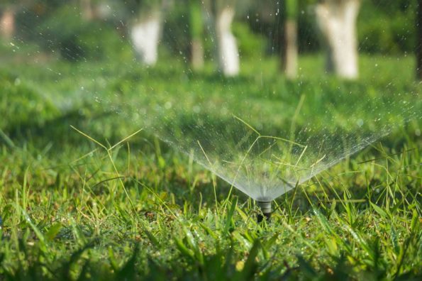 Rainbird İzmir Otomatik Sulama Sistemleri