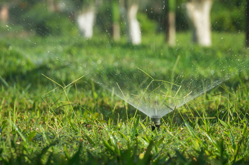 Rainbird İzmir Otomatik Sulama Sistemleri