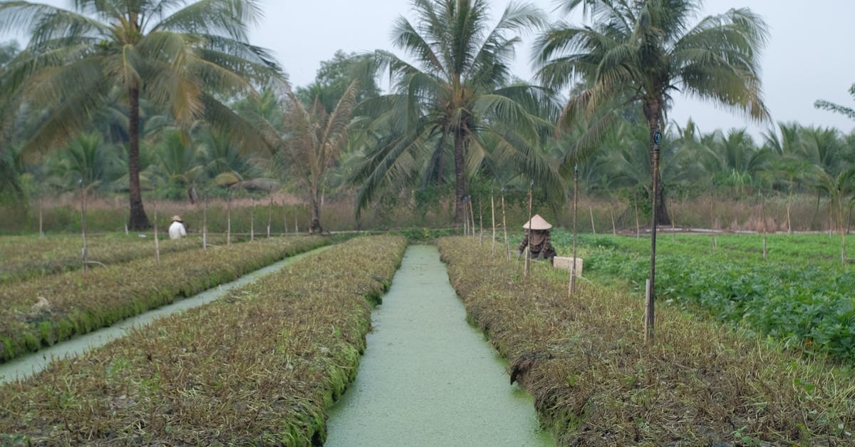 Hunter Sulama Kalecik 8b02135a78a569ec95b71f708e186f77 1