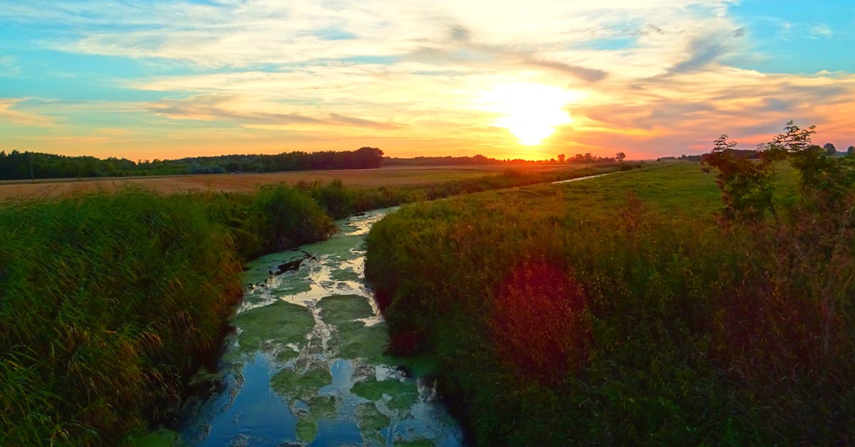 Rainbird Aksaray 019a10242b47f9268609f66288d11262 1