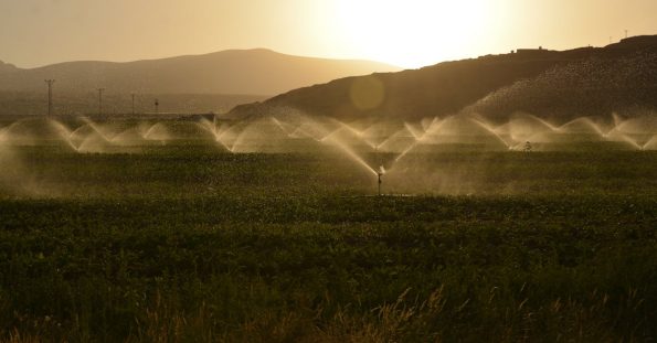 Rainbird Çanakkale 1 Rainbird Canakkale dd597a88ce72ae940d066e29edc1be2e 1