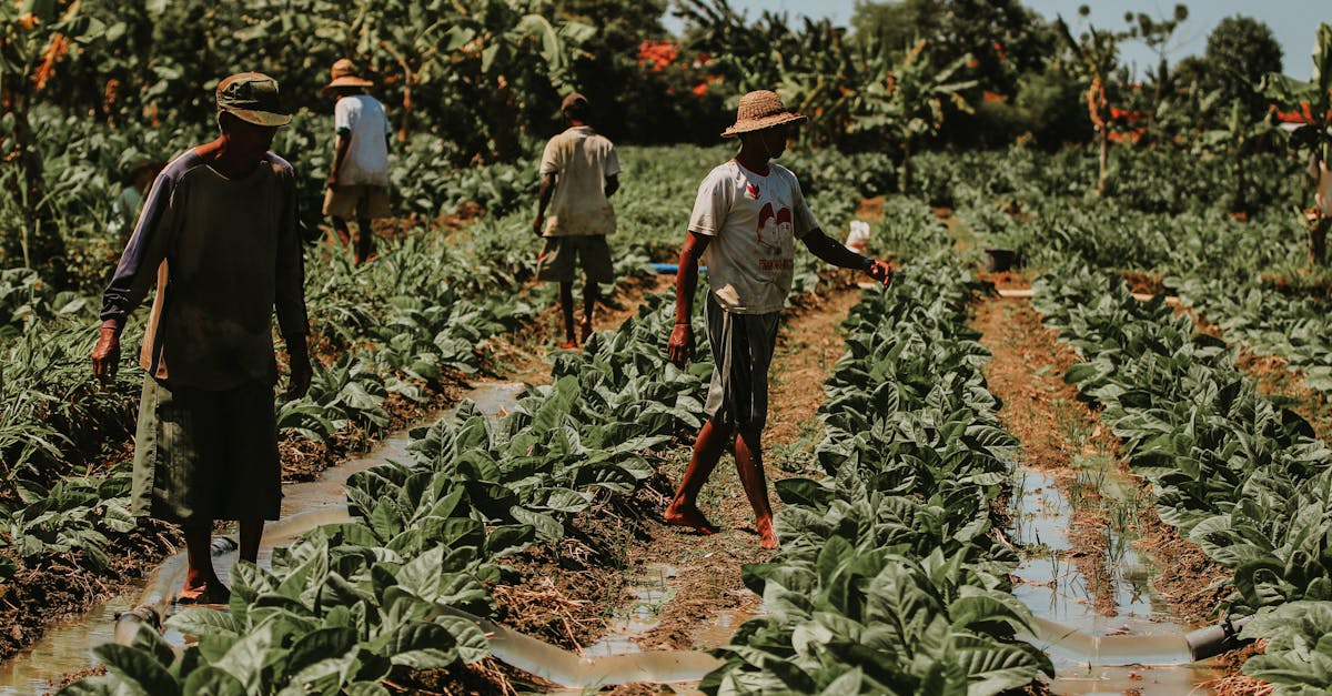 bahce peyzaj duzenleme 270b22162c667c7e6b7021574b730e2b 1