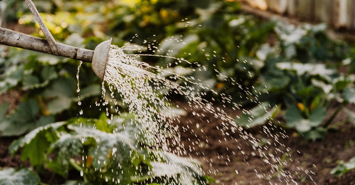 hunter nasil ayarlanir 9f6703708e4511f9486420fb4d57e3cc 1