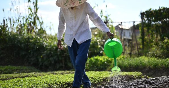 peyzaj muhendis mimarlik b6f3456a9a0be043b9f7b0d1e90162f1 1
