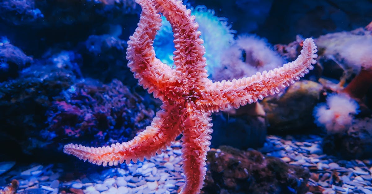 su deposu fiyatlari 7bcbc6764af4336b01404988c972c243 1