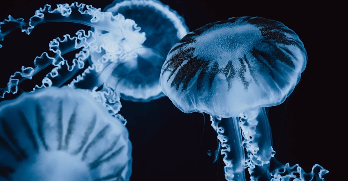 Su Deposu Fiyatları Kalecik 1 su deposu fiyatlari b2c4138b97646c6ff2436b1a8f125c40 1