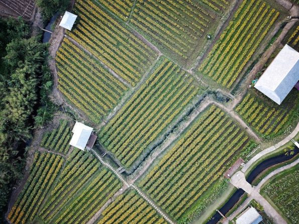 Otomatik Bahce Sulama Sistemi Fiyatlari 97620a0bd1a76328999ab9235a8679e6 1