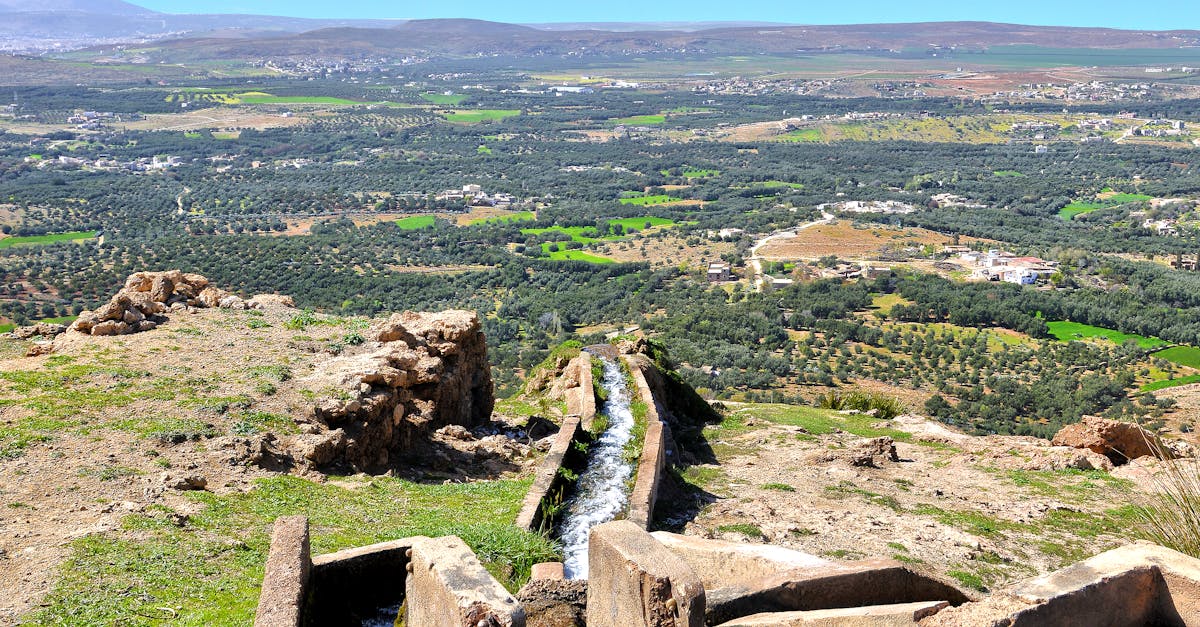 fiskiye fiyatlari b8183d853ae0e2ad31c6feaec99b0d42 1