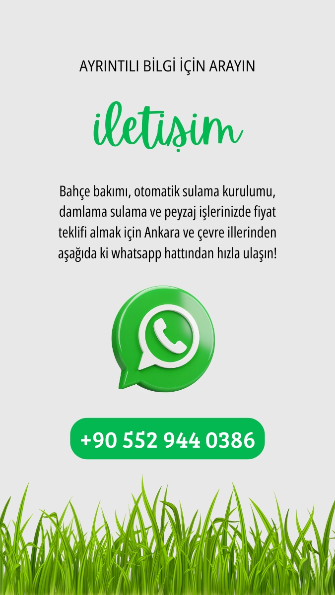 Green Gray Handwriting Contact Us Add Phone Chat Instagram Story