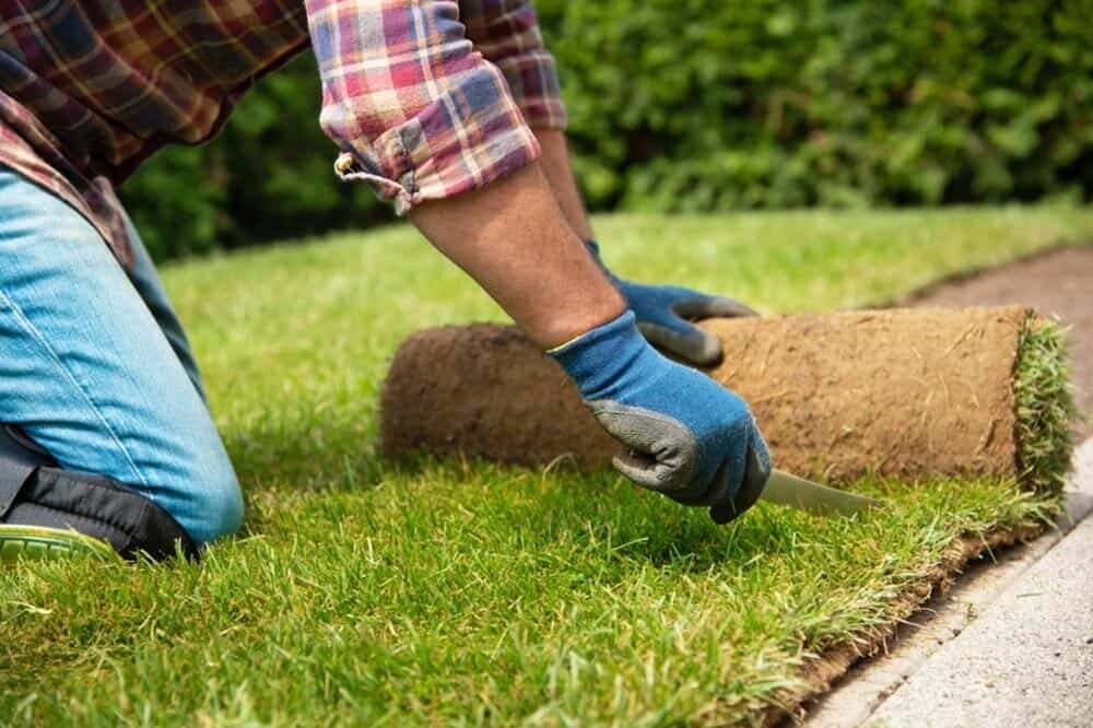 laying turf shoalhaven turf supplies