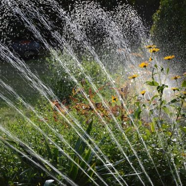 Rainbird Tokat