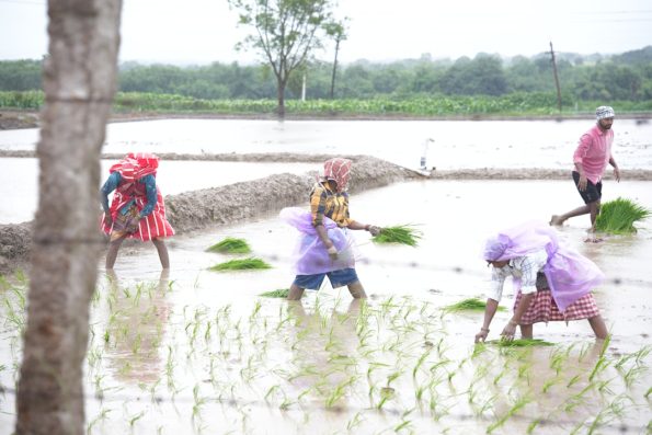Otomatik Damlama Sulama Sistemleri e867981d5d367b4fd92e6571304f8748