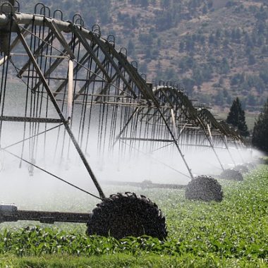 Rainbird Bakım Ayaş
