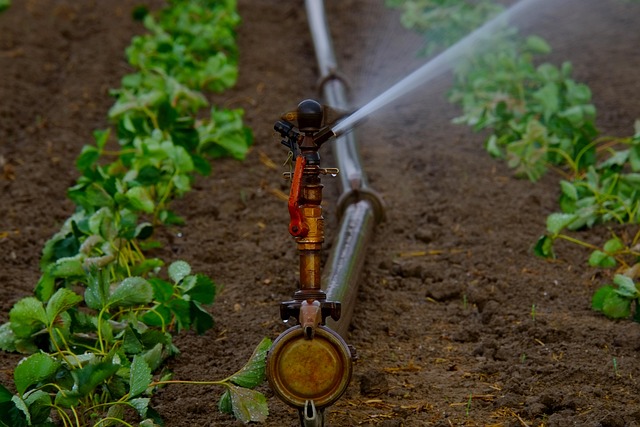Rainbird Bakim 27