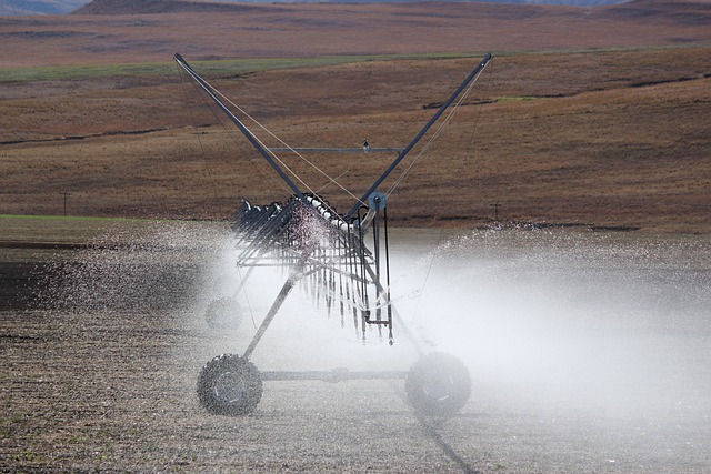 Rainbird Bakim 33