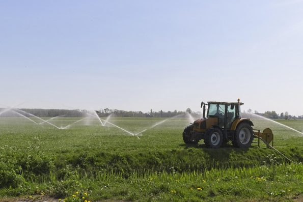 Rainbird Bakim 36