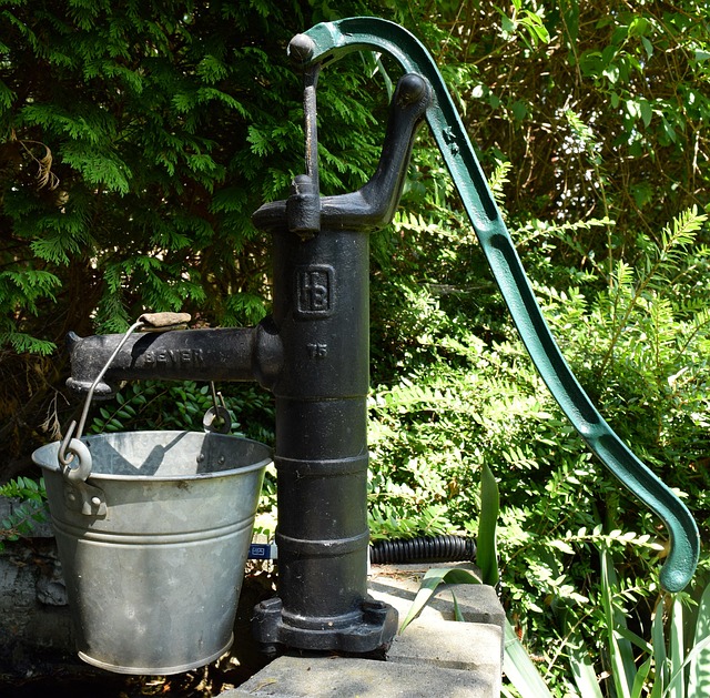 Rainbird Bakim 44