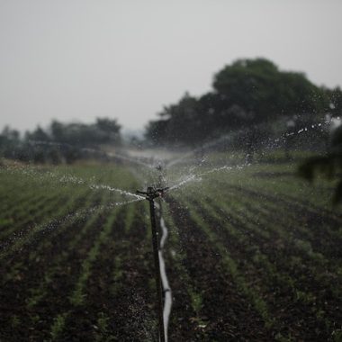 Rainbird Bakım Polatlı