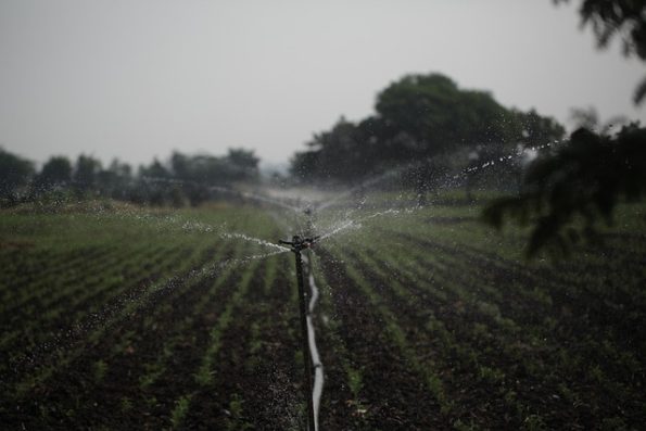 Rainbird Bakim 55