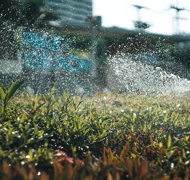 Rainbird Bakım Altındağ