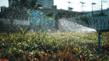 Rainbird Bakım Kızılcahamam 2 Rainbird Bakım Kızılcahamam