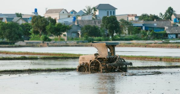 Cim Bahce Bakim 207197d298217f8deba23525e2fb4e8b