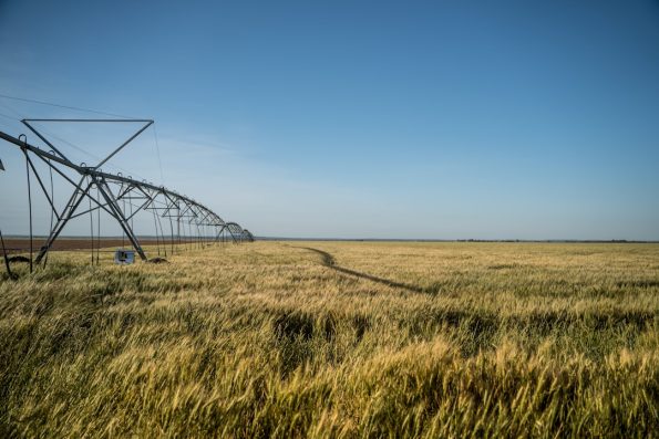 Hunter Bakim 1813a3ab96720405e81272cb75fd7f1c