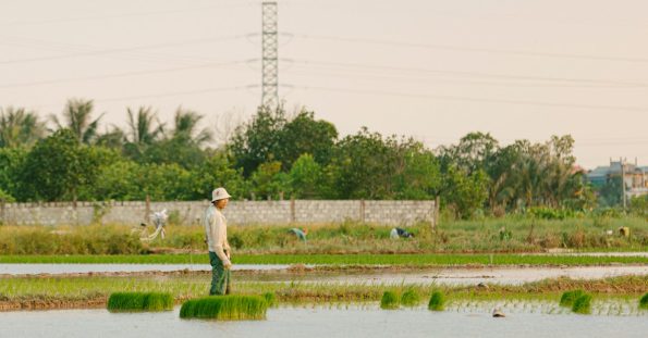 fiskiye fiyatlari cc7460565800f94da91ed3e7bae5e6de