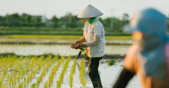 fiskiye fiyatlari f230c770c166ce1765b098f2e1786daf