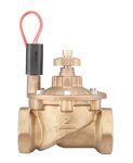 Hunter IBV-201G-FS Pirinç Solenoid Vana   2″ Giriş-Çıkış | Ağır Hizmet Tipi
