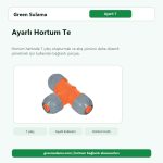 Ayarlı Hortum Te hortum ve bahçe sulama aksesuarı
