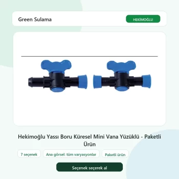 Hekimoğlu Yassı Boru Küresel Mini Vana Yüzüklü - Paketli Ürün tüm varyasyon seçenekleri