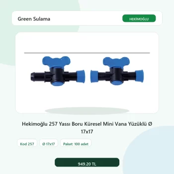 Hekimoğlu 257 Yassı Boru Küresel Mini Vana Yüzüklü Ø 17x17 - 100 Adet Paket gerçek katalog ürün görseli