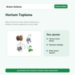 Hortum Toplama hortum ve bahçe sulama aksesuarı