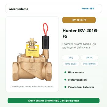 Hunter IBV-201G-FS pirinç solenoid vana