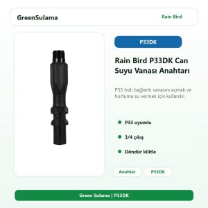 Rain Bird P33DK Can Suyu Vanası Anahtarı 2 rain bird p33dk can suyu vanasi anahtari v1