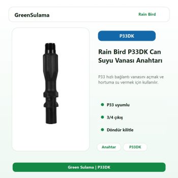 Rain Bird P33DK can suyu vanası anahtarı