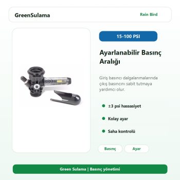 Rain Bird PRS-Dial 15 100 psi ayarlanabilir basınç regülatörü