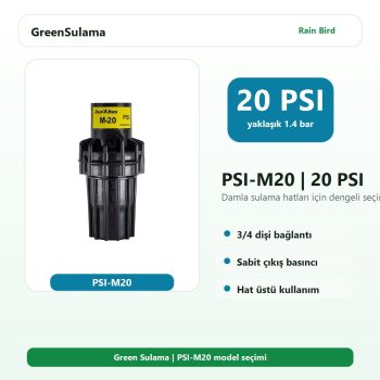 Rain Bird Basınç Regülatörü PSI M PSI M20 Rain Bird Otomatik Sulama Sistemleri ürün görseli
